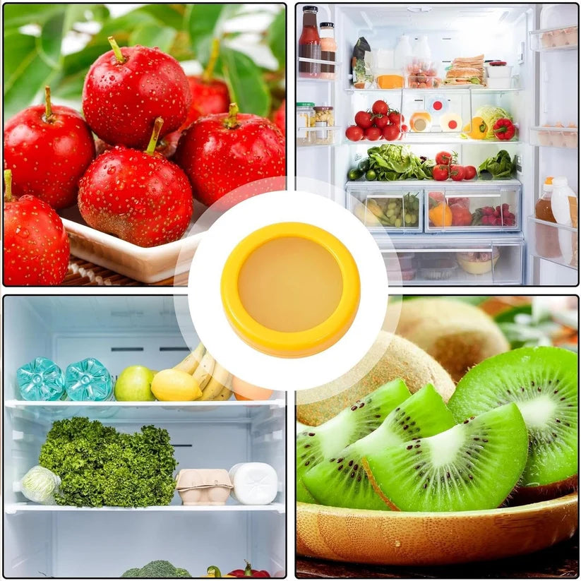 Silicone Fruit Vegetable Food Saver - Storage Container (G)