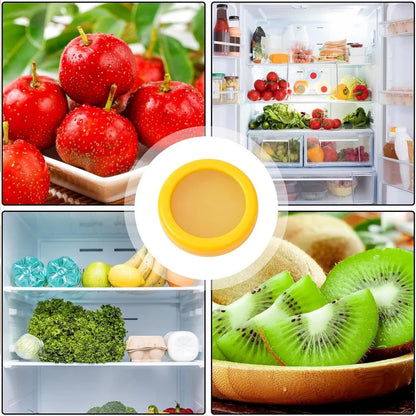 Silicone Fruit Vegetable Food Saver - Storage Container (G)
