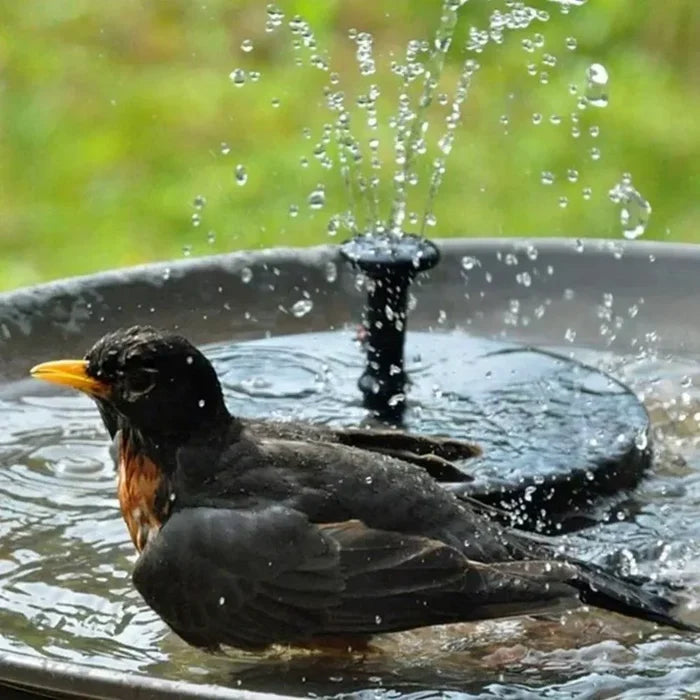 Solar Fountain Power Floating Water Pump