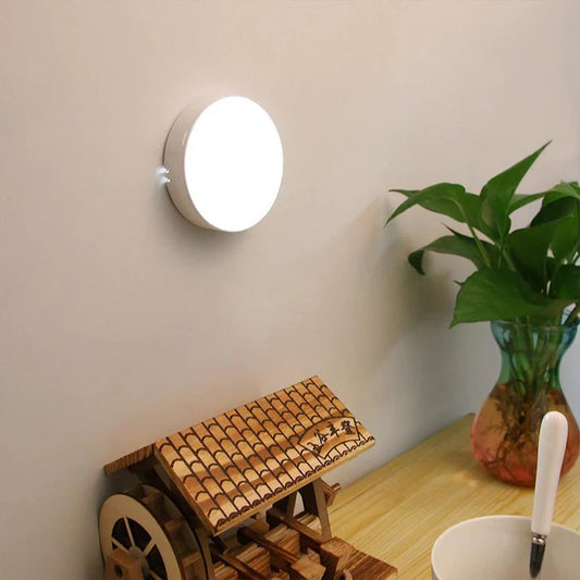 Motion Sensor Light